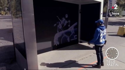 Sécurité routière au Québec : un abribus pour sensibiliser les piétons