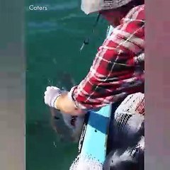 Shume interesante si te zini peshk dhe momente me interesante te peshkimit