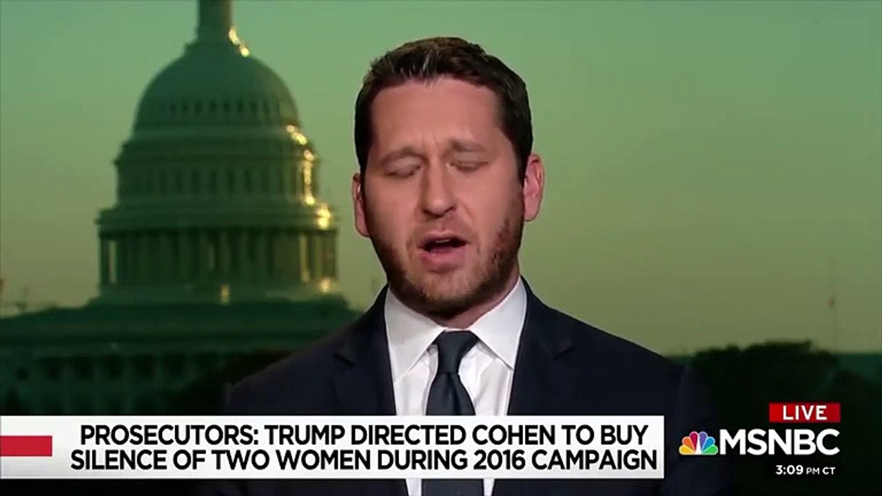 MSNBC: Republican Lawmakers Cannot 'Stand By White House' If Evidence of Trump Criminality Becomes 'Obvious'