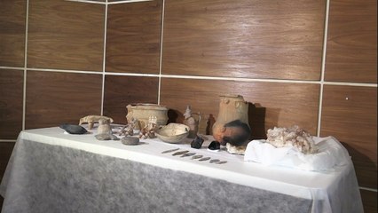 Recuperan más de 1.000 piezas de museo quemado en Brasil