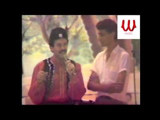 NABIL EL SAHER - elwady /  حفلات - الساحر - نبيل بركات