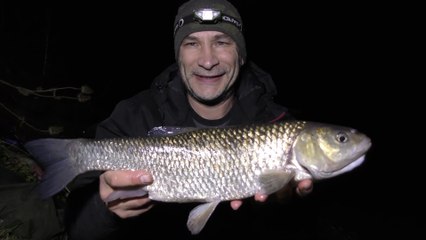 Chub On The Warwickshire Avon - Pin & Feeder - 14/9/18 (Video 86)