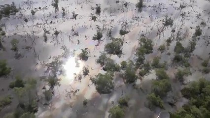 Οικολογική καταστροφή στο Ρίο μετά από διάρρηξη σε αγωγό πετρελαίου