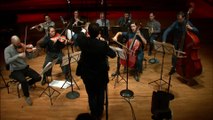 Mozart : Symphonie n° 40 en sol mineur K. 550 - Menuetto - Allegretto (Ensemble Appassionato)