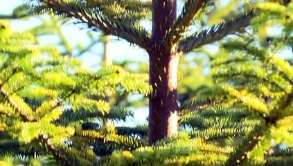 GOODLINES: 11th December 2018