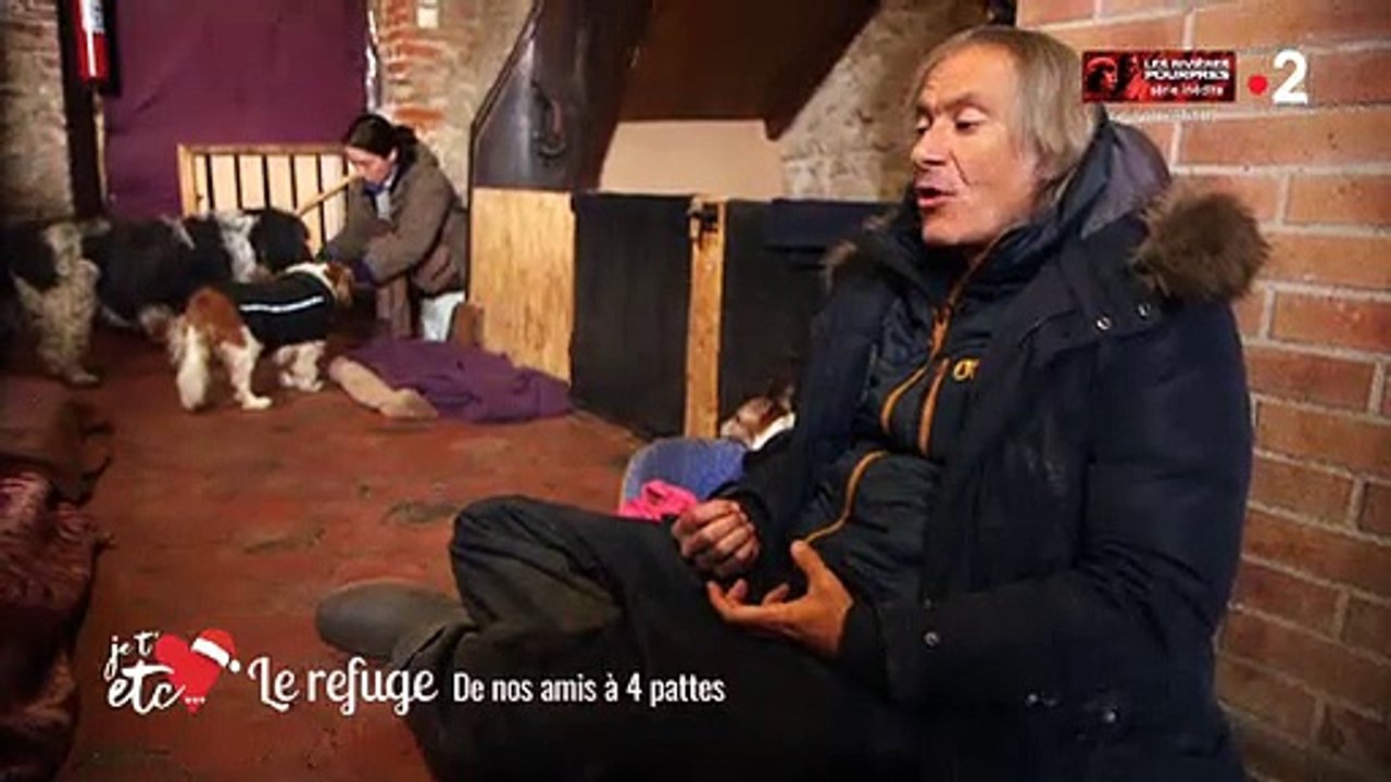 France 2 nous fait visiter la première "maison de retraite" pour... chiens !