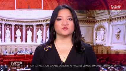 PLF 2019 : le Sénat termine l'examen du Budget - Les matins du Sénat (11/12/2018)