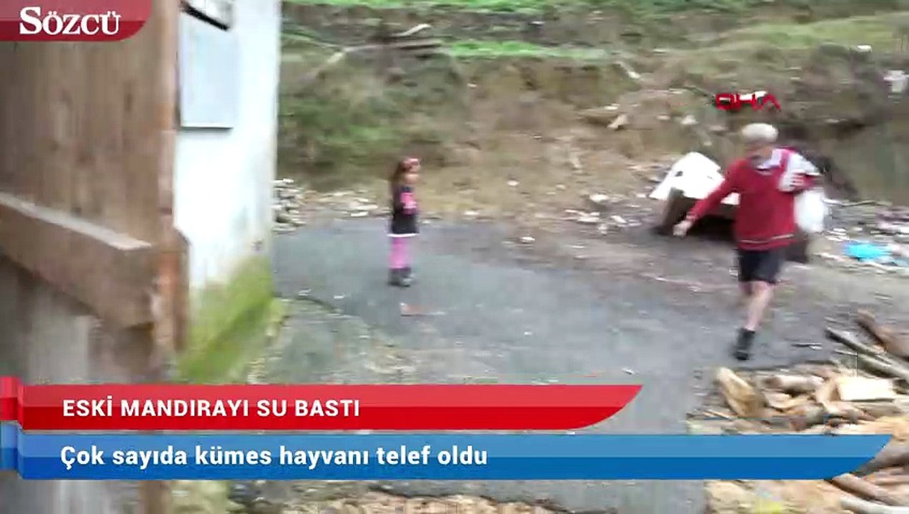 Kağıthane’de eski mandırayı su bastı, kümes hayvanları telef oldu