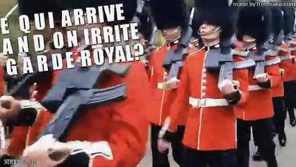 VOICI CE QUI ARRIVE QUAND ON ÉNERVE UN GARDE ROYAL   Lama Faché