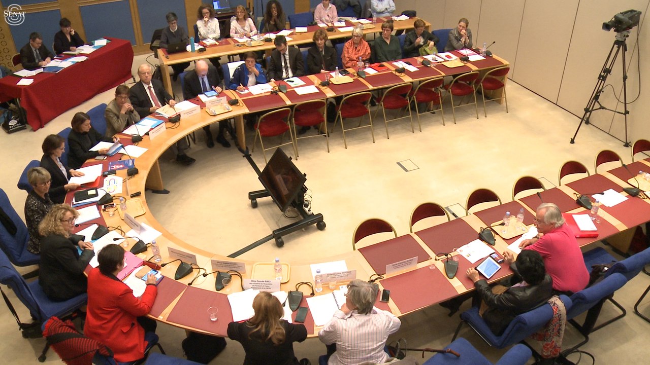 [Droit des Femmes] Table ronde  sur les violences faites aux femmes handicapées