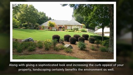 Best Landscape Design Build Benefits on Property Value