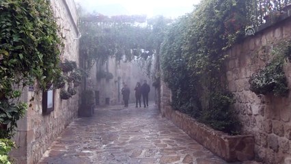 Yoğun sis ulaşımı olumsuz etkiliyor - MARDİN