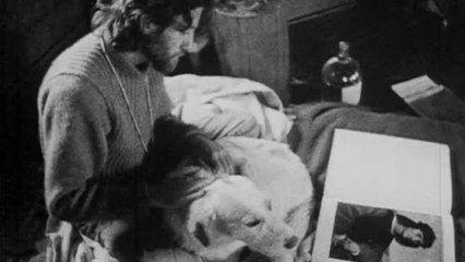 LA SOSTANZA: Albert Hofmann's LSD - 2 - seconda parte