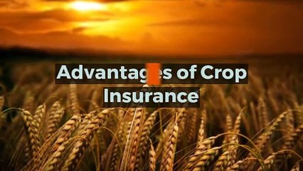 Advantages of Crop Insurance