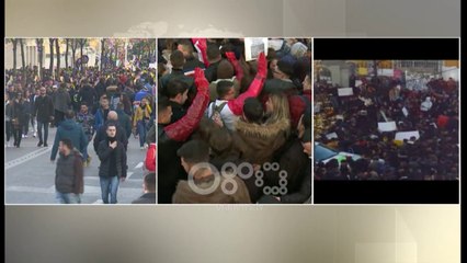 Ora News - Studentët e veterinarisë në protestë: 100 studentë bëjnë eksperiment me dy lopë