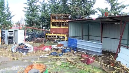 Hatay’da sele kapılan hayvanlar telef oldu