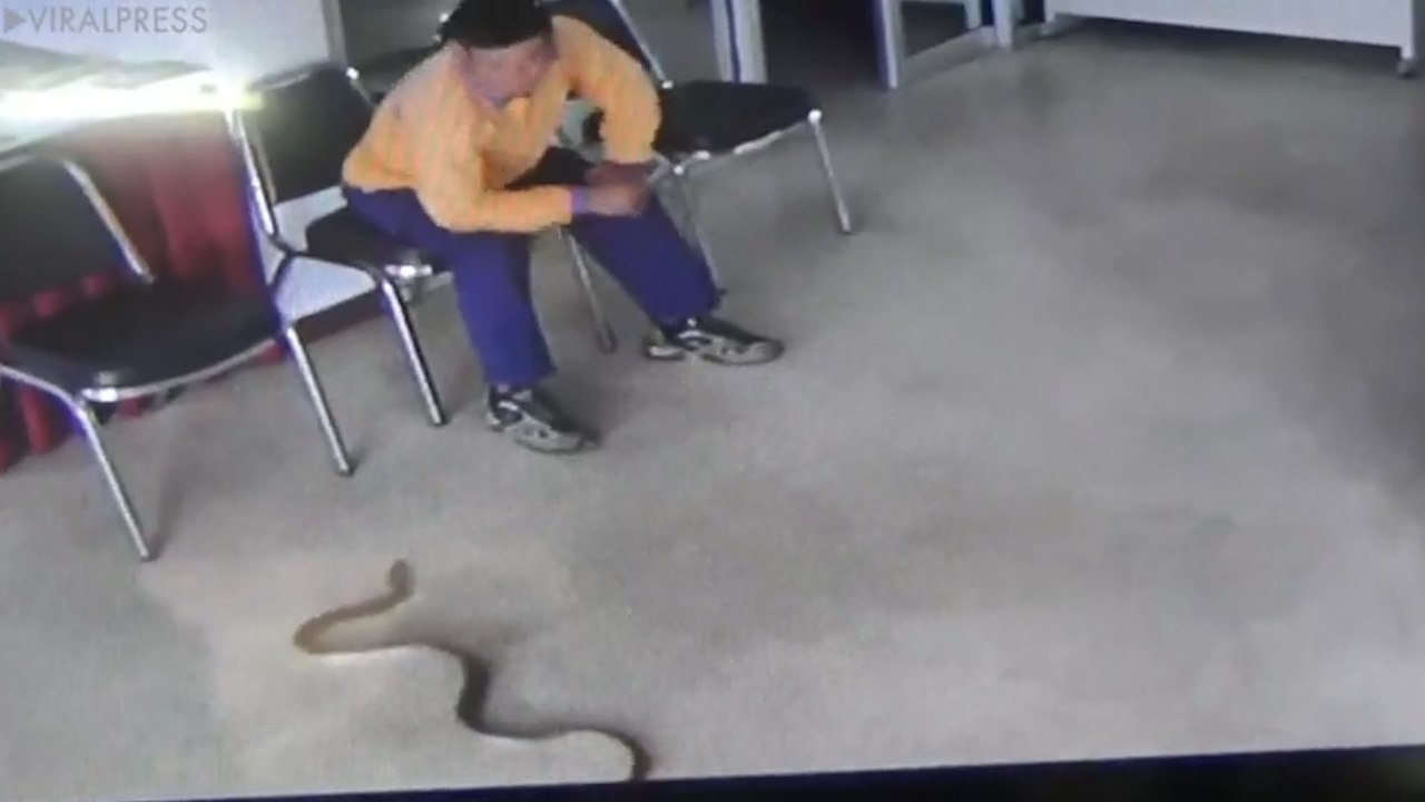 Un serpent attaque un homme dans un commissariat en Thaïlande !