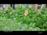Gạo Nếp Gạo Tẻ Tập 95 - Bản Chuẩn 11/12/2018 - Phim Việt Nam HTV2