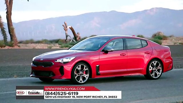 2019 Kia Stinger Tampa FL | Kia Dealership Tampa FL