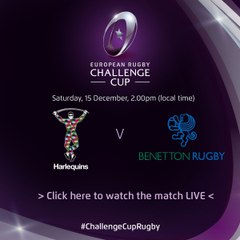 Harlequins v Benetton Rugby