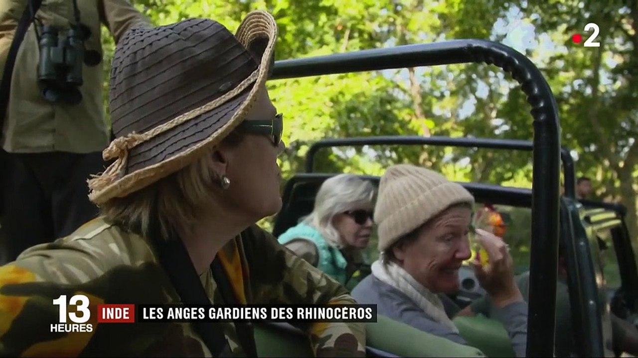 Inde : les anges gardiens des rhinocéros indiens