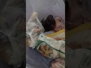 Vazhdon greva e të burgosurve, kërkohet amnisti 3