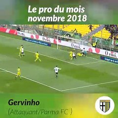 Football: Gervinho , le pros du mois de novembre 2018