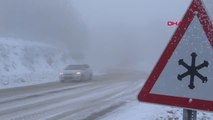 Kütahya Domaniç'te Kar ve Sis, Ulaşımı Aksattı