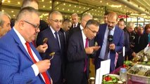 Rize Şehit Verdi, Saldırı Öncesi Hamsi Festivali'ne Katıldı-2