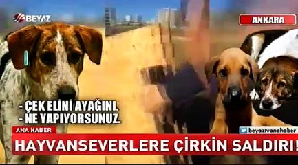 Hayvanseverlere çirkin saldırı!