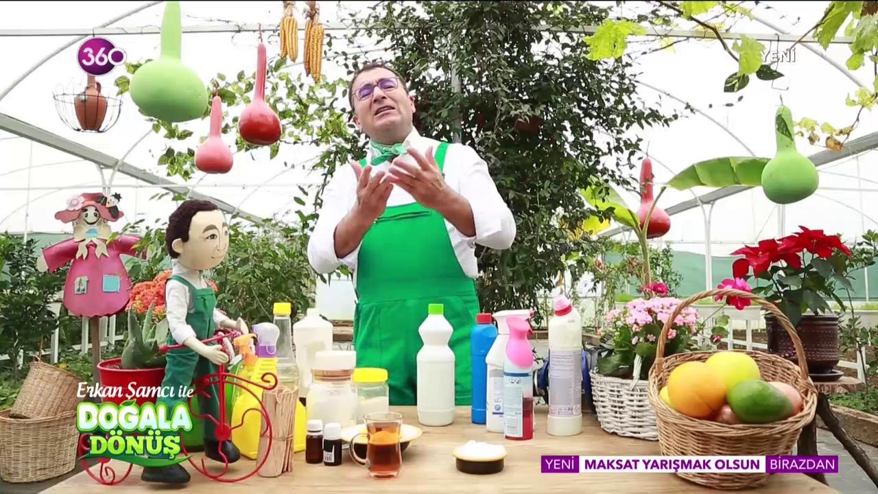 Doğala Dönüş