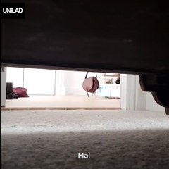 The weird cat is back and scarier than ever