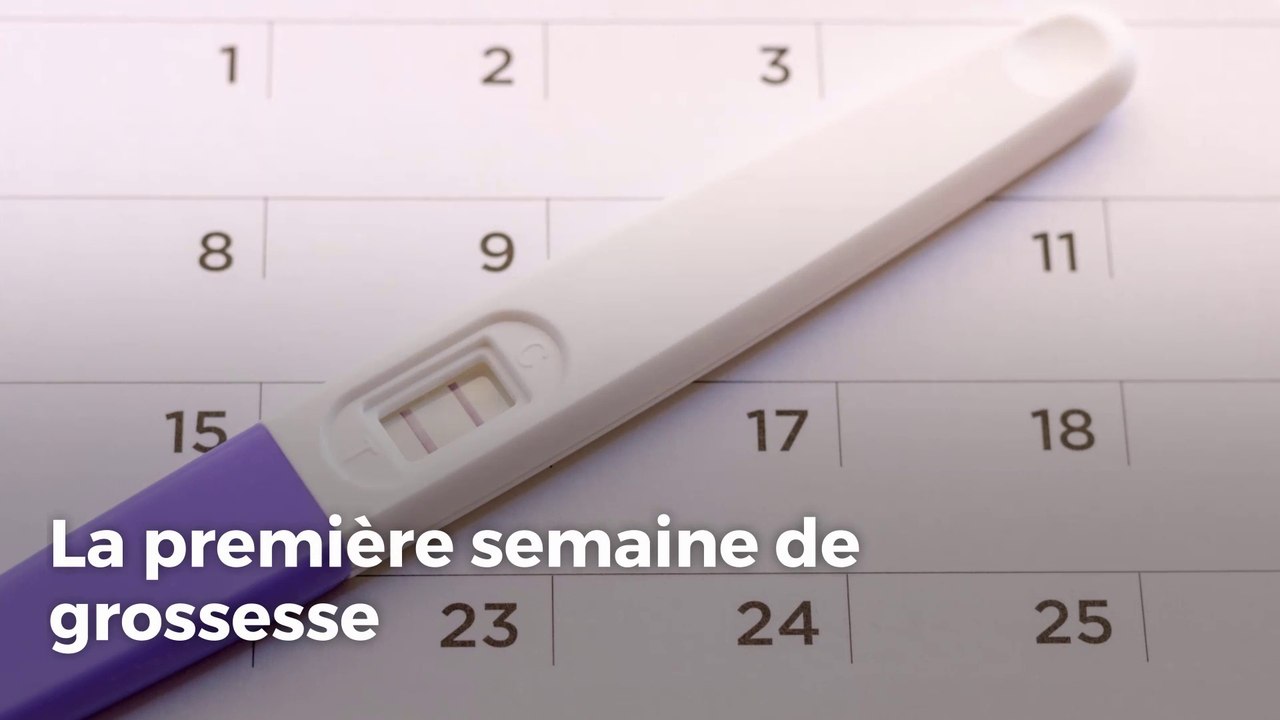 La première semaine de grossesse