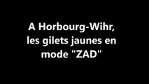 La ZAD de Horbourg-Wihr