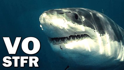 DARK TIDE Trailer VOSTFR