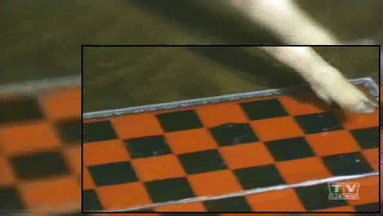 Green Acres S04E26 - The Reincarnation Of Eb