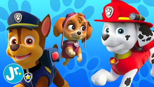 Top 5 Facts about Paw Patrol - List & Learn - video Dailymotion