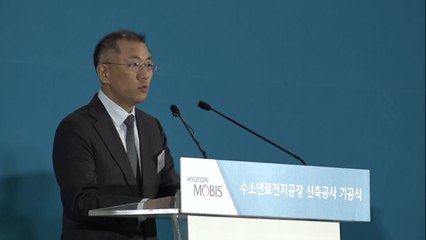 현대차 "2030년 국내서 수소차 연 50만 대 생산" / YTN