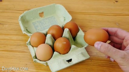 Egg Shell Science Experiment