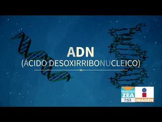 Qué es el ADN y para qué sirve | Noticias con Francisco Zea
