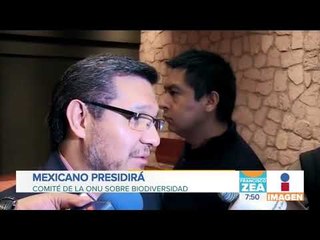 Mexicano en la ONU presidirá comité sobre Biodiversidad | Noticias con Francisco Zea