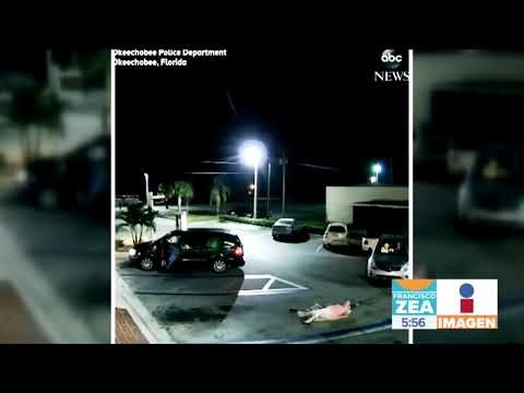 Le roba bolso a anciana y luego la atropella | Noticias con Zea