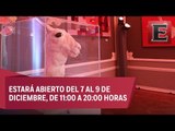 Abre el Museo del Meme en la Ciudad de México