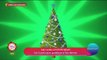 ¿Cuál es el origen y el significado del árbol de Navidad? | Sale el Sol