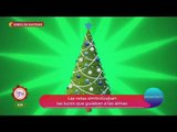 ¿Cuál es el origen y el significado del árbol de Navidad? | Sale el Sol