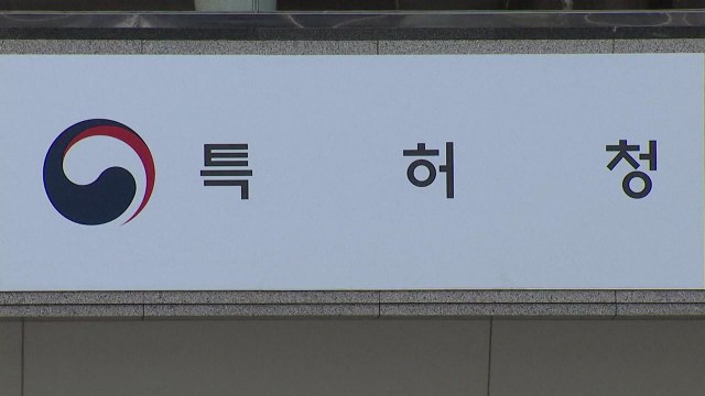'특허' 담보로 자금 마련...지식재산금융 종합대책 / YTN