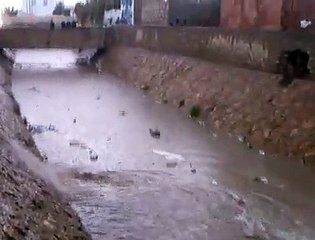 جرجيس هذا اليوم مياه القنطرة طريق ...03 11 2011