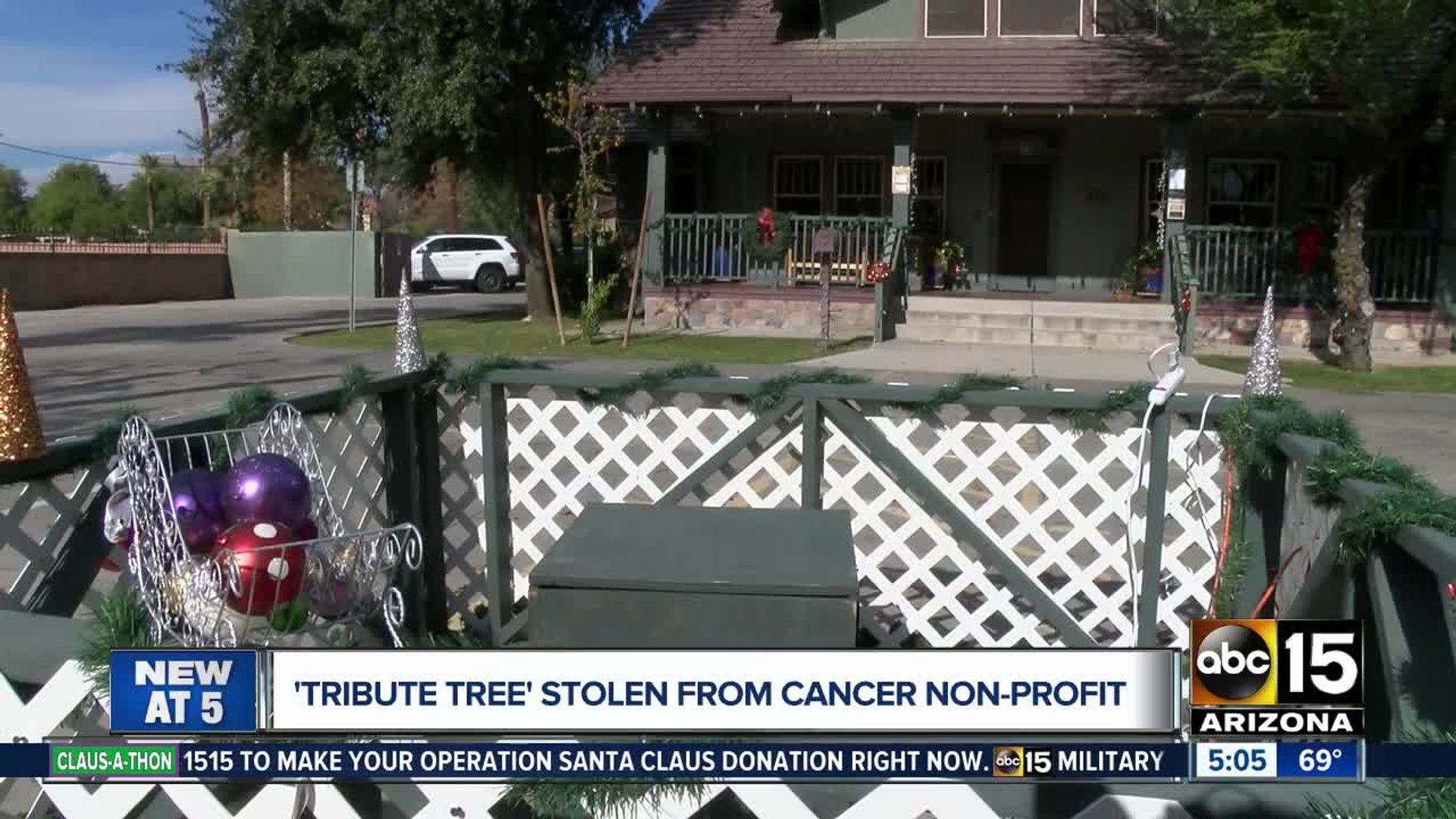 'Tribute tree' stolen from cancer non-profit