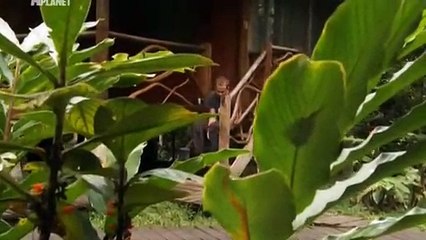 Wild Things With Dominic Monaghan S01E06 - Army Ants, Ecuador