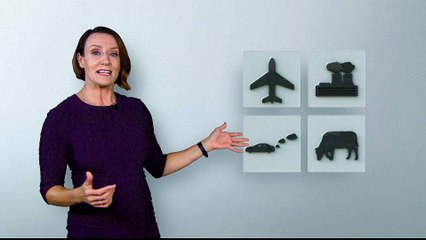 Five things we can do to combat climate change